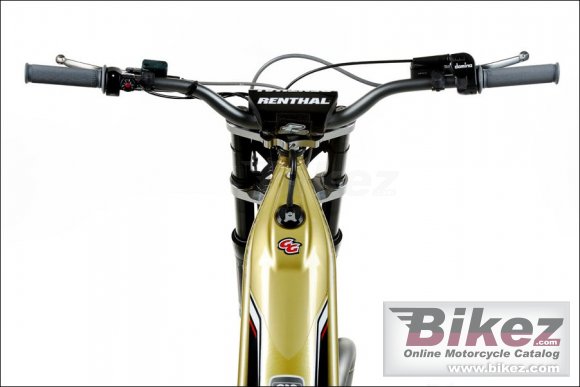 2011 GAS GAS TXT Pro Raga 300 photo